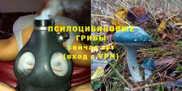 mdpv Карпинск