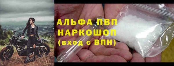 хмурый Касимов