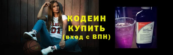 хмурый Касимов