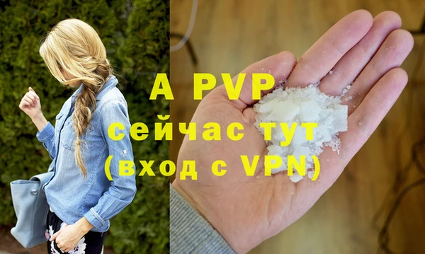 хмурый Касимов